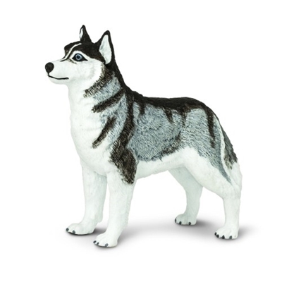 Zdjęcie Safari Ltd. Figurka Pies Husky Syberyjski