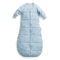 ergoPouch Śpiworek Jersey z Rękawami 8-24M 2.5TOG Dragonflies